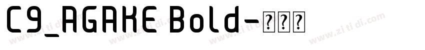 C9_AGAKE Bold字体转换